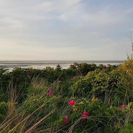 Residenz Haus Essen Appartamento *